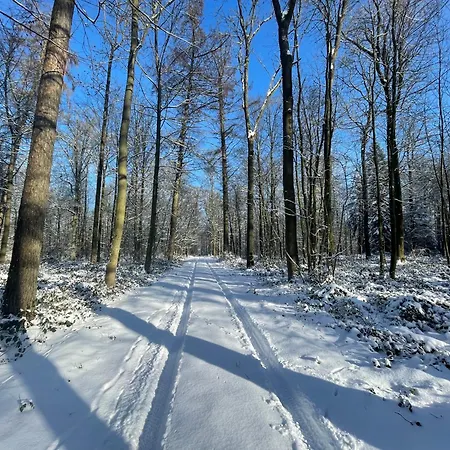 ゲストハウス Domaine Du Bois D'hez - Corporate Privative 4*